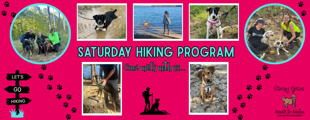 Saturday Hiking with Saving Grace 2025